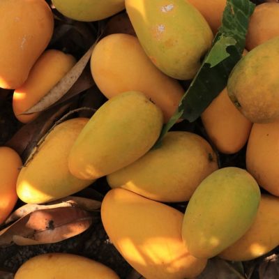 CAMPO ACOSTA 02 CAMPO ACOSTA 02