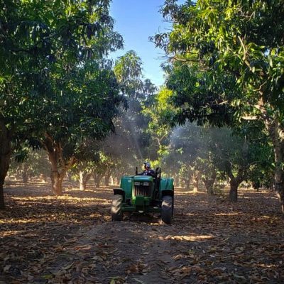 CAMPO COSTA 011 CAMPO COSTA 011