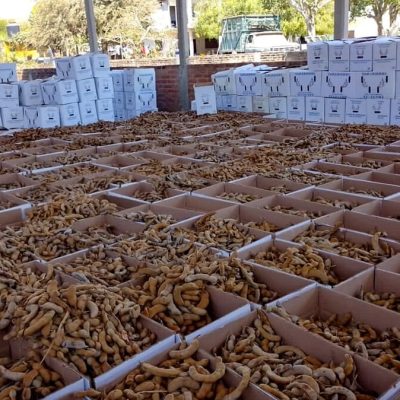 CAMPO COSTA 013 CAMPO COSTA 013