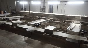 WhatsApp Image 2022-06-16 at 1.47.50 PM