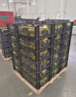 WhatsApp Image 2022-06-16 at 1.48.51 PM